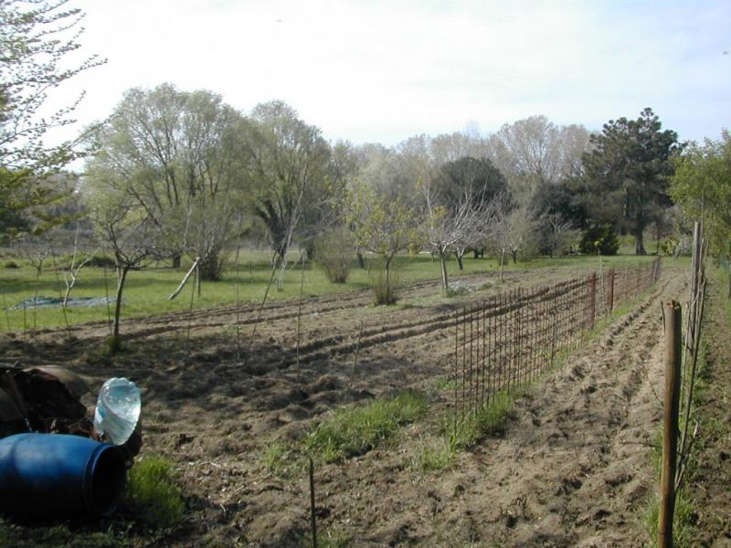 Terreno PISA vendita  1 TIRRENIA  Mi CaSa Immobiliare