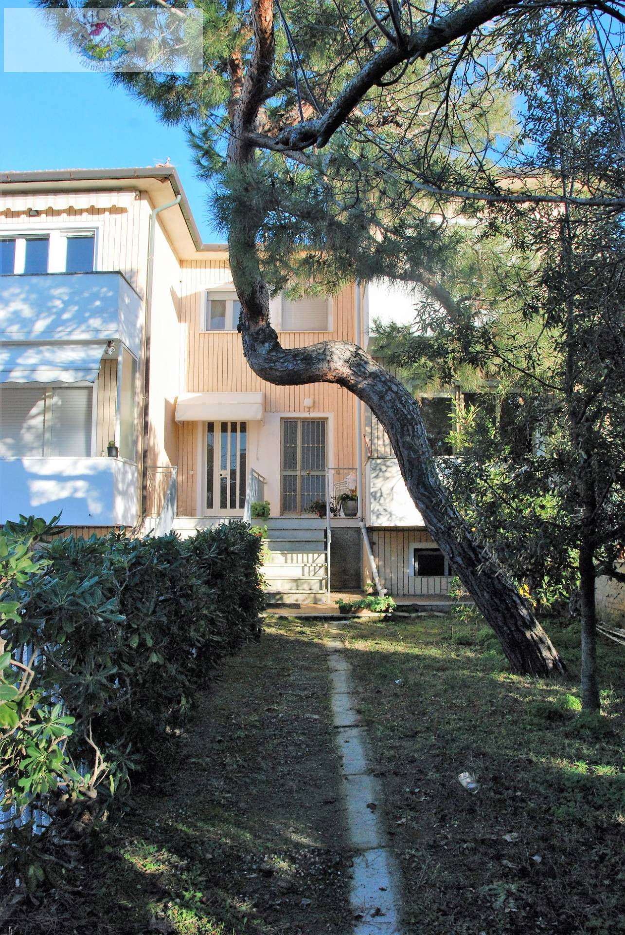 Appartamento PISA affitto  1 TIRRENIA  Mi CaSa Immobiliare