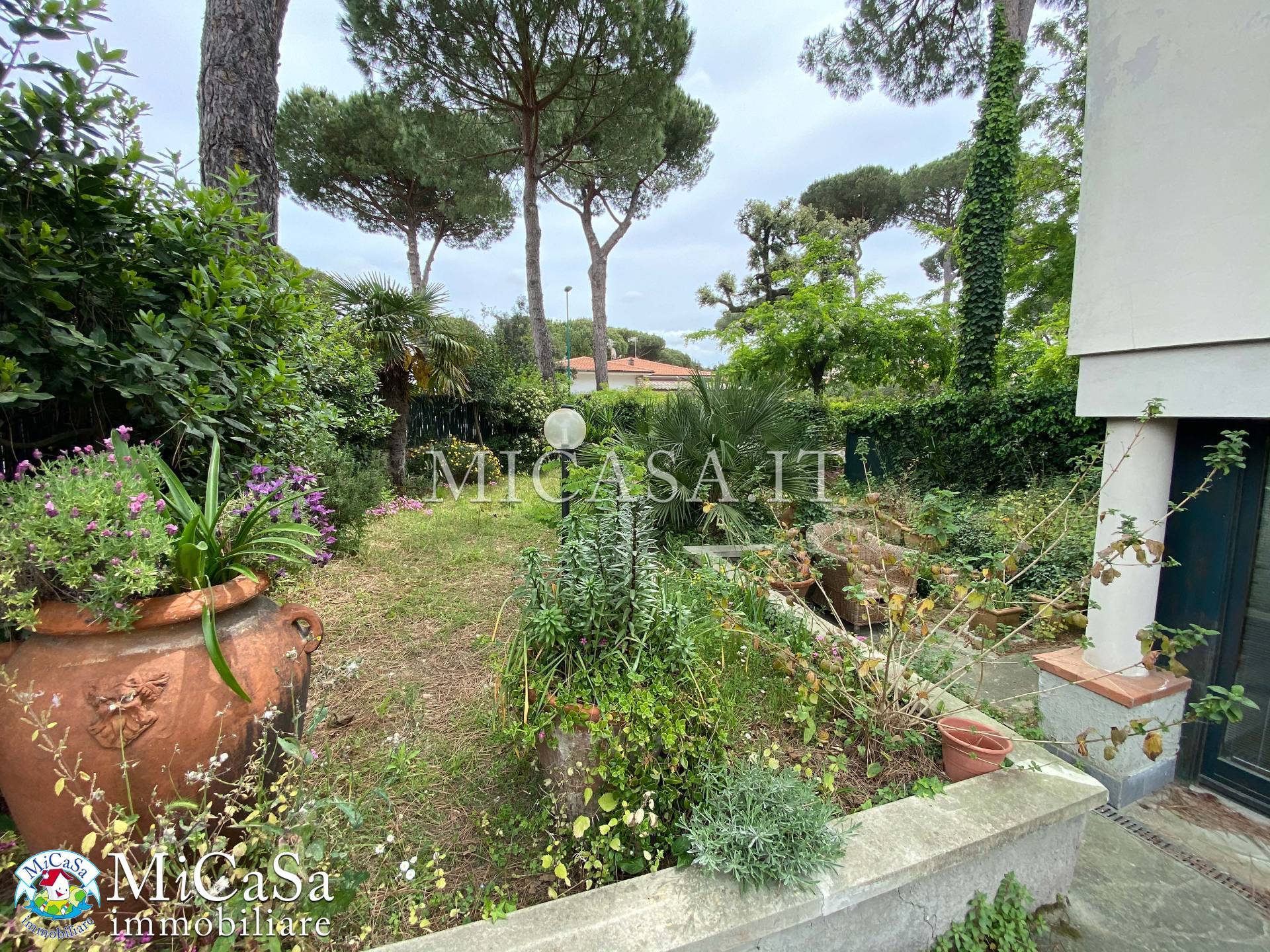 Villa PISA vendita  1 TIRRENIA  Mi CaSa Immobiliare