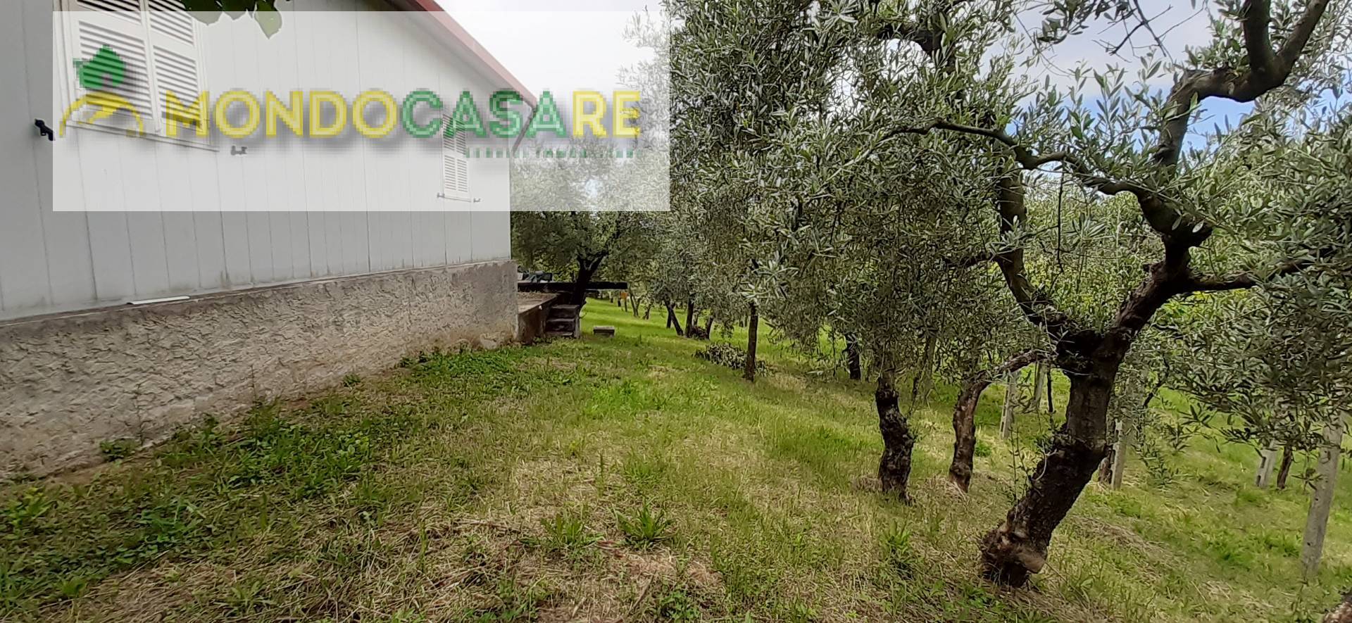 Rustico - Cascina PALOMBARA SABINA vendita    Mondocasare Palombara Sabina