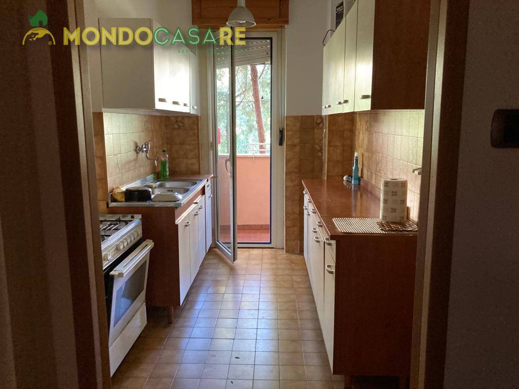 Appartamento MONTEROTONDO vendita  Monterotondo Scalo  Mondocasare Monterotondo Centro