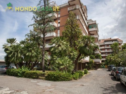 Appartamento MONTEROTONDO vendita  Monterotondo Scalo  Mondocasare Monterotondo Centro