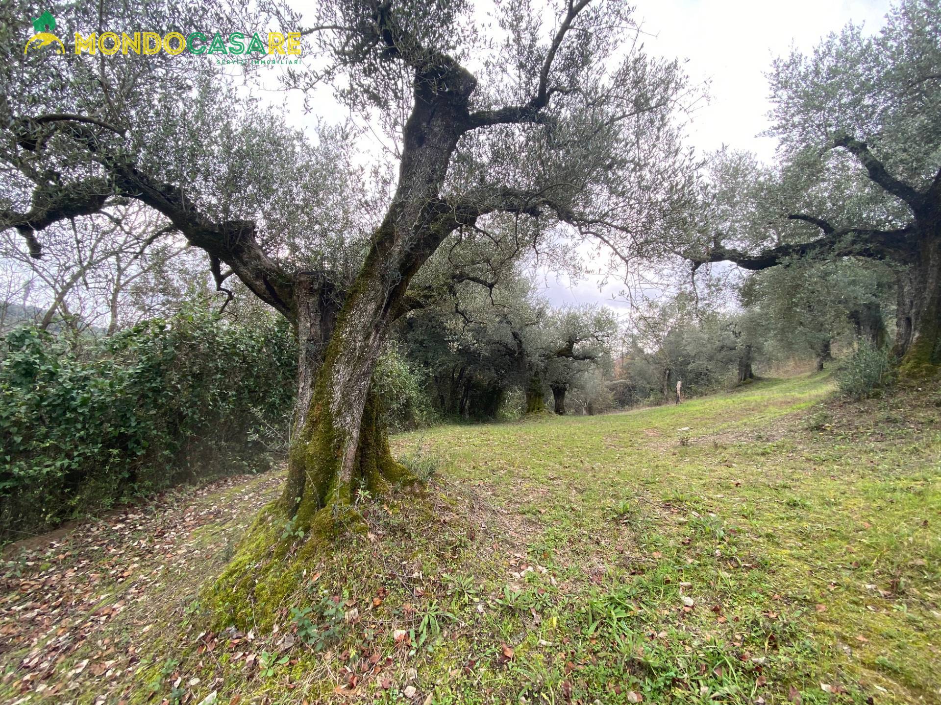 Terreno agricolo in vendita a Palombara Sabina (RM)