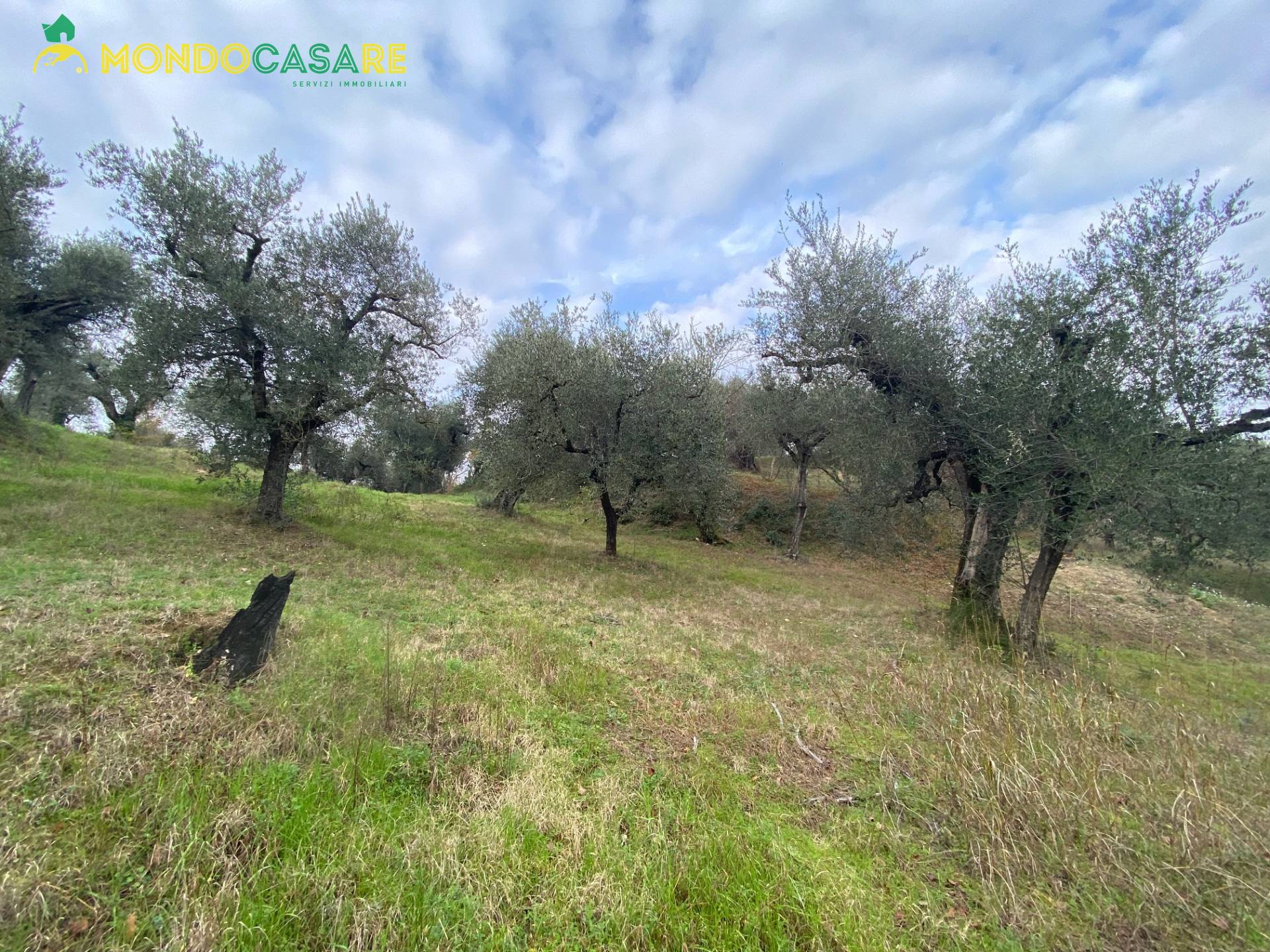 Terreno agricolo in vendita a Palombara Sabina (RM)