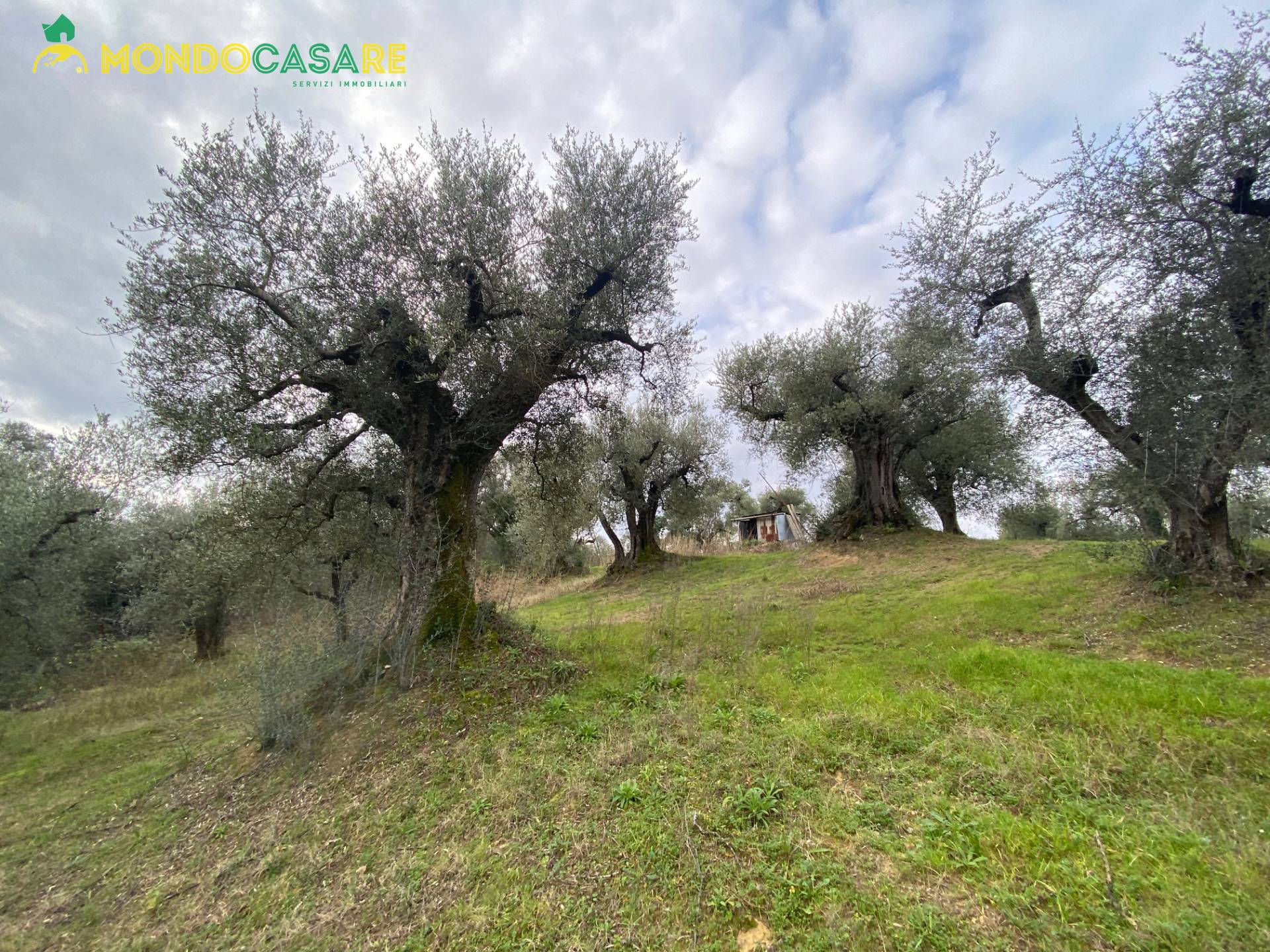 Terreno agricolo in vendita a Palombara Sabina (RM)