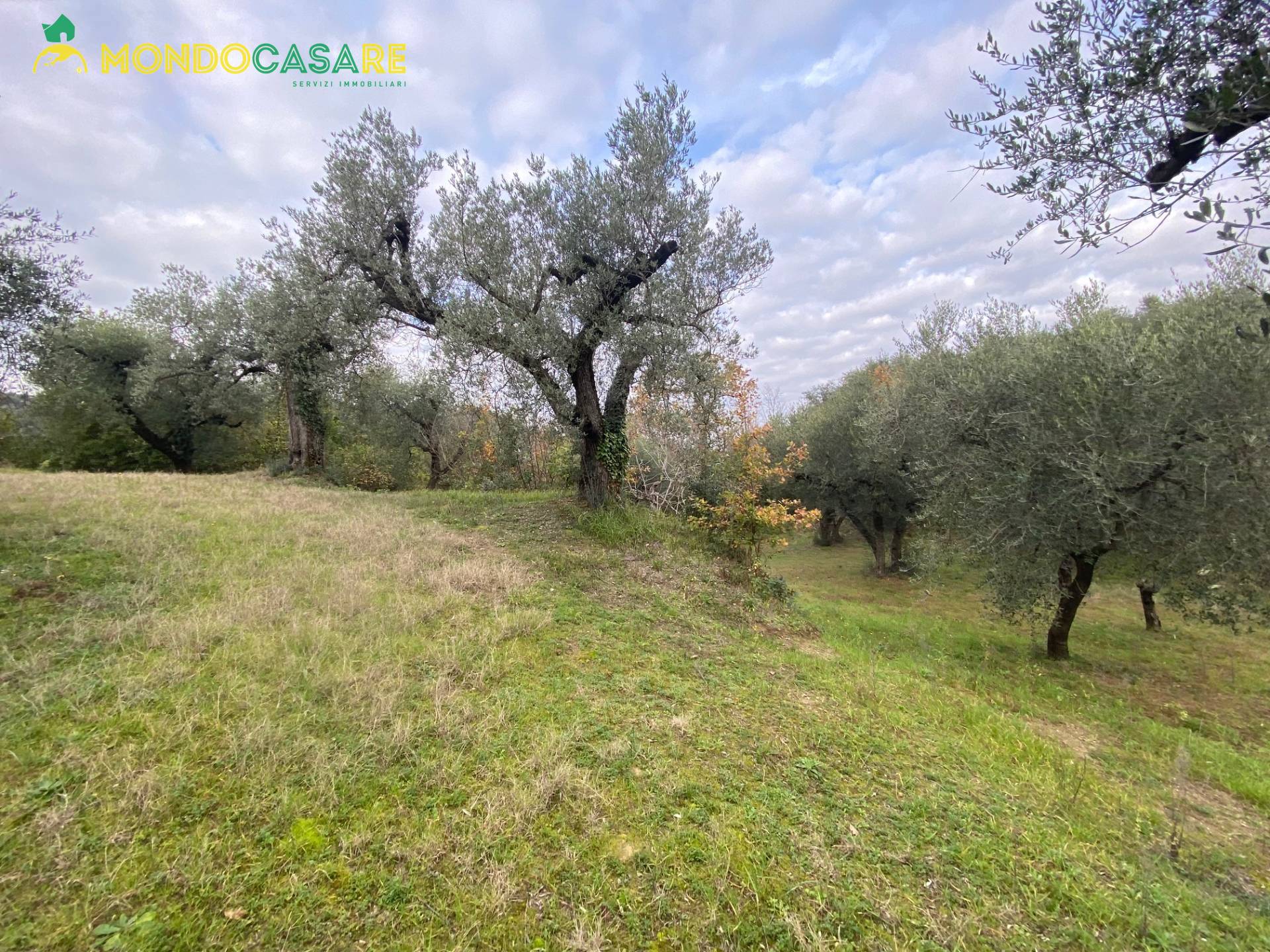 Terreno agricolo in vendita a Palombara Sabina (RM)