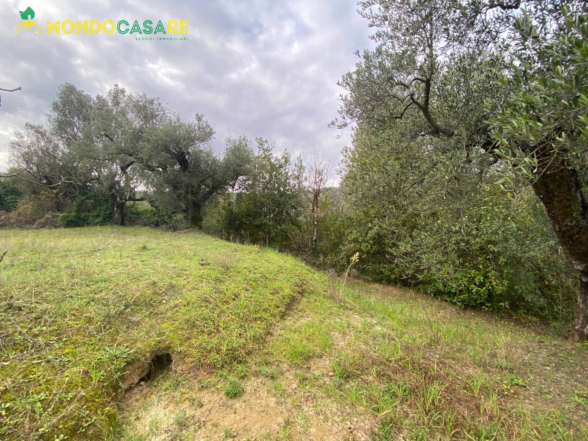 Terreno agricolo in vendita a Palombara Sabina (RM)