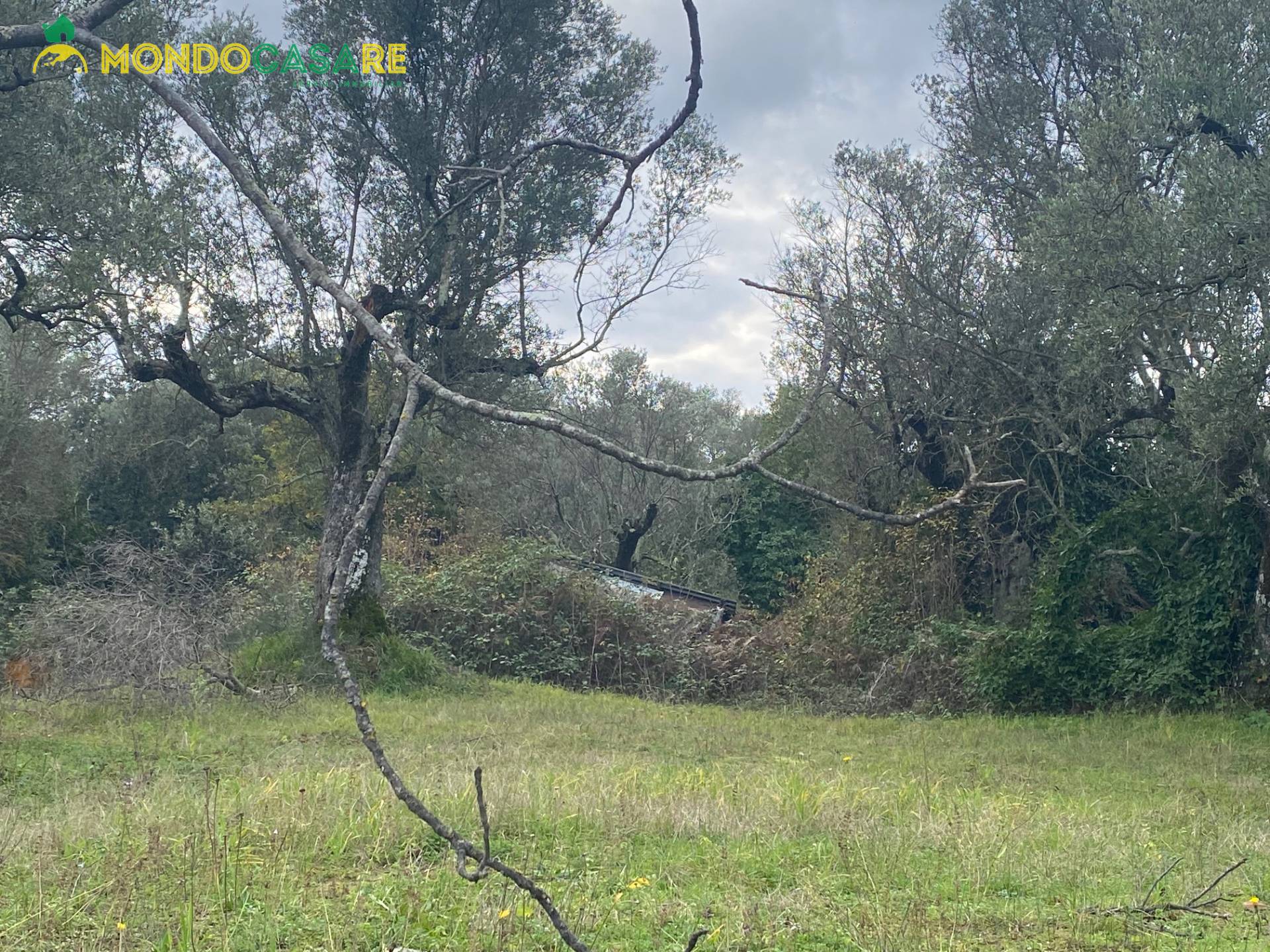 Terreno agricolo in vendita a Palombara Sabina (RM)