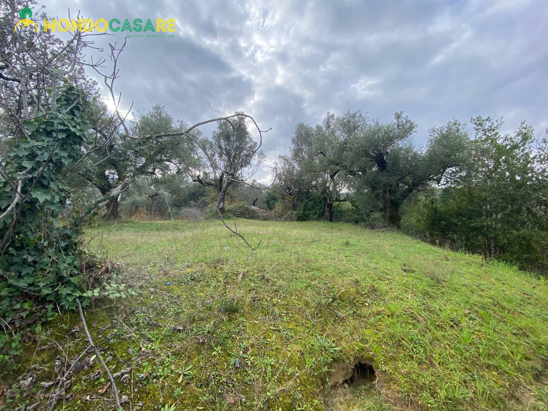 Terreno agricolo in vendita a Palombara Sabina (RM)