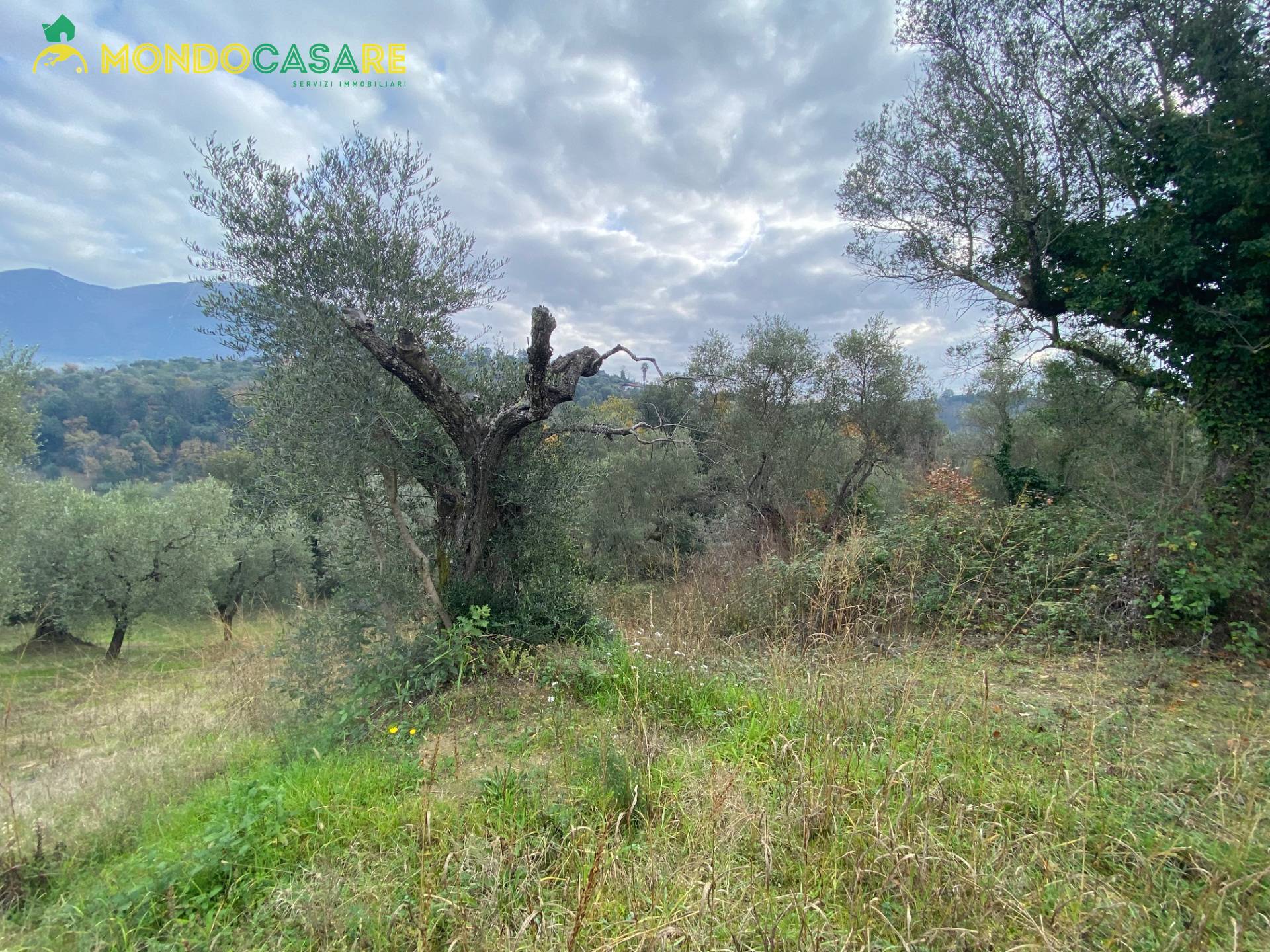 Terreno agricolo in vendita a Palombara Sabina (RM)