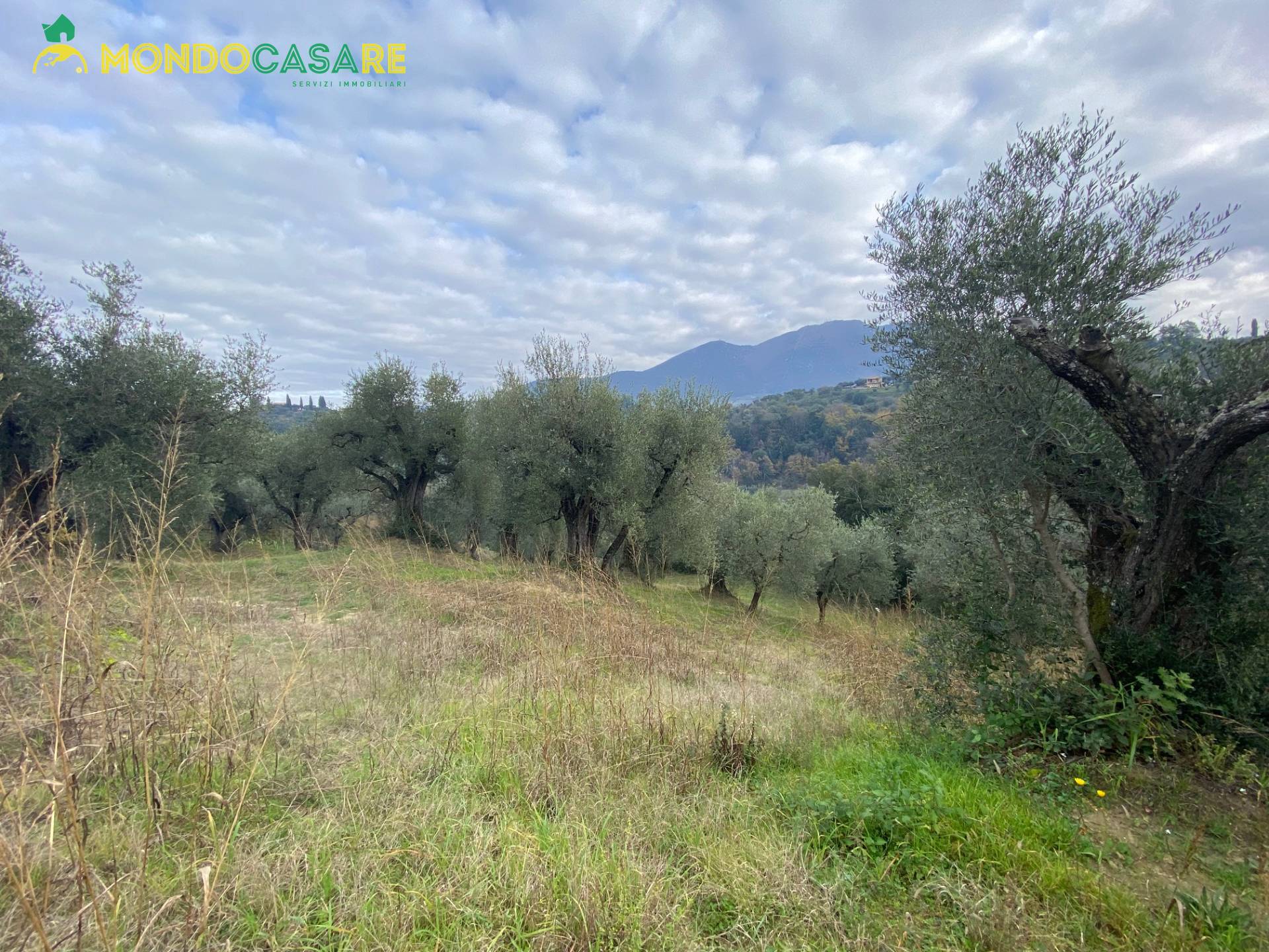 Terreno agricolo in vendita a Palombara Sabina (RM)