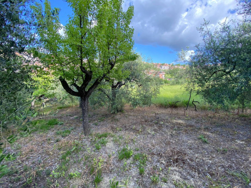 Terreno edificabile in vendita a Monterotondo Scalo, Monterotondo (RM)