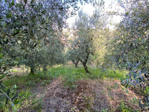 Terreno edificabile in vendita a Monterotondo Scalo, Monterotondo (RM)