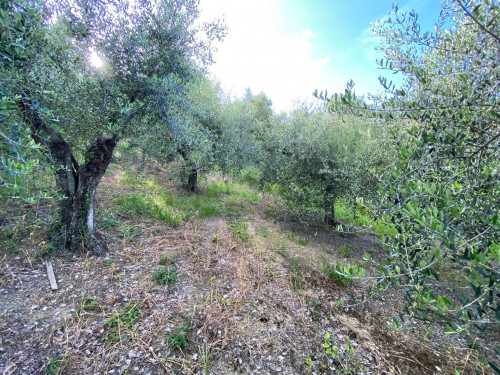 Terreno edificabile in vendita a Monterotondo Scalo, Monterotondo (RM)