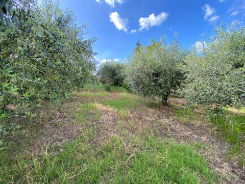 Terreno edificabile in vendita a Monterotondo Scalo, Monterotondo (RM)