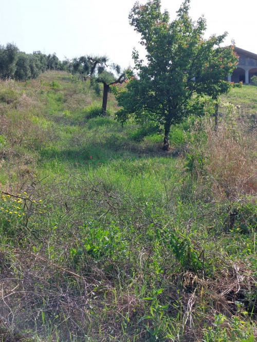 Casa indipendente in vendita a Monterotondo Scalo, Monterotondo (RM)