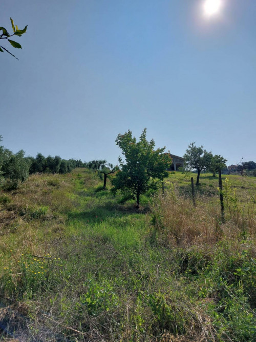 Casa indipendente in vendita a Monterotondo Scalo, Monterotondo (RM)