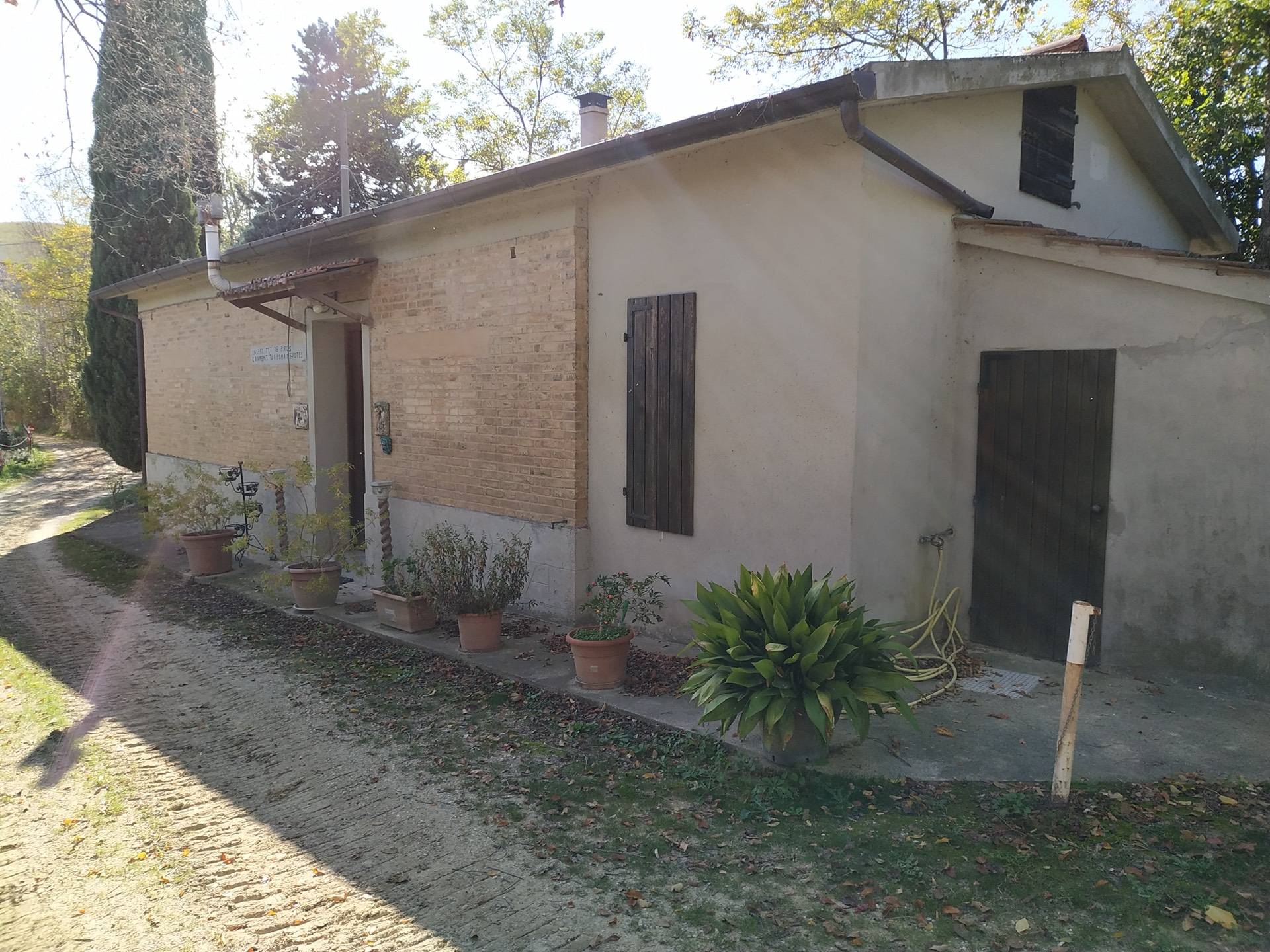 Rustico - Cascina RIPATRANSONE vendita    Casa In Immobiliare