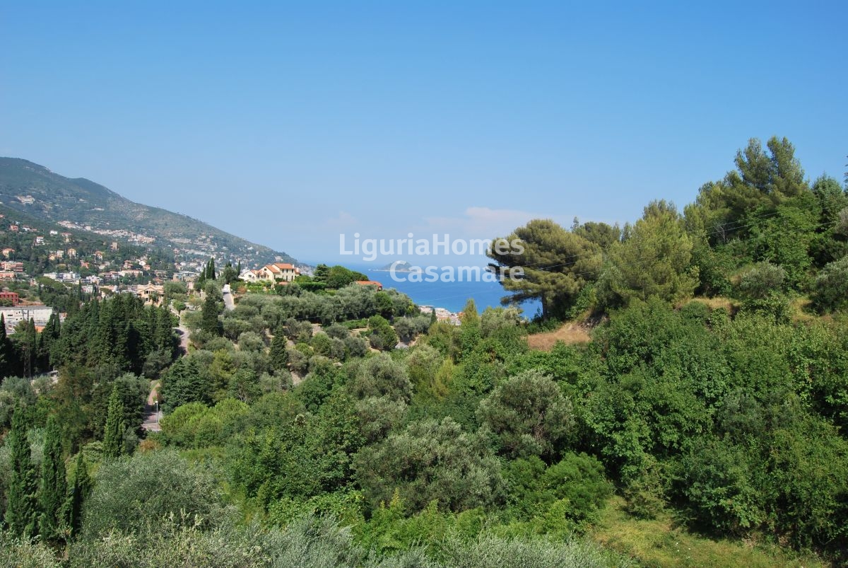 Appartamento ALASSIO vendita    LiguriaHomes Casamare Imperia