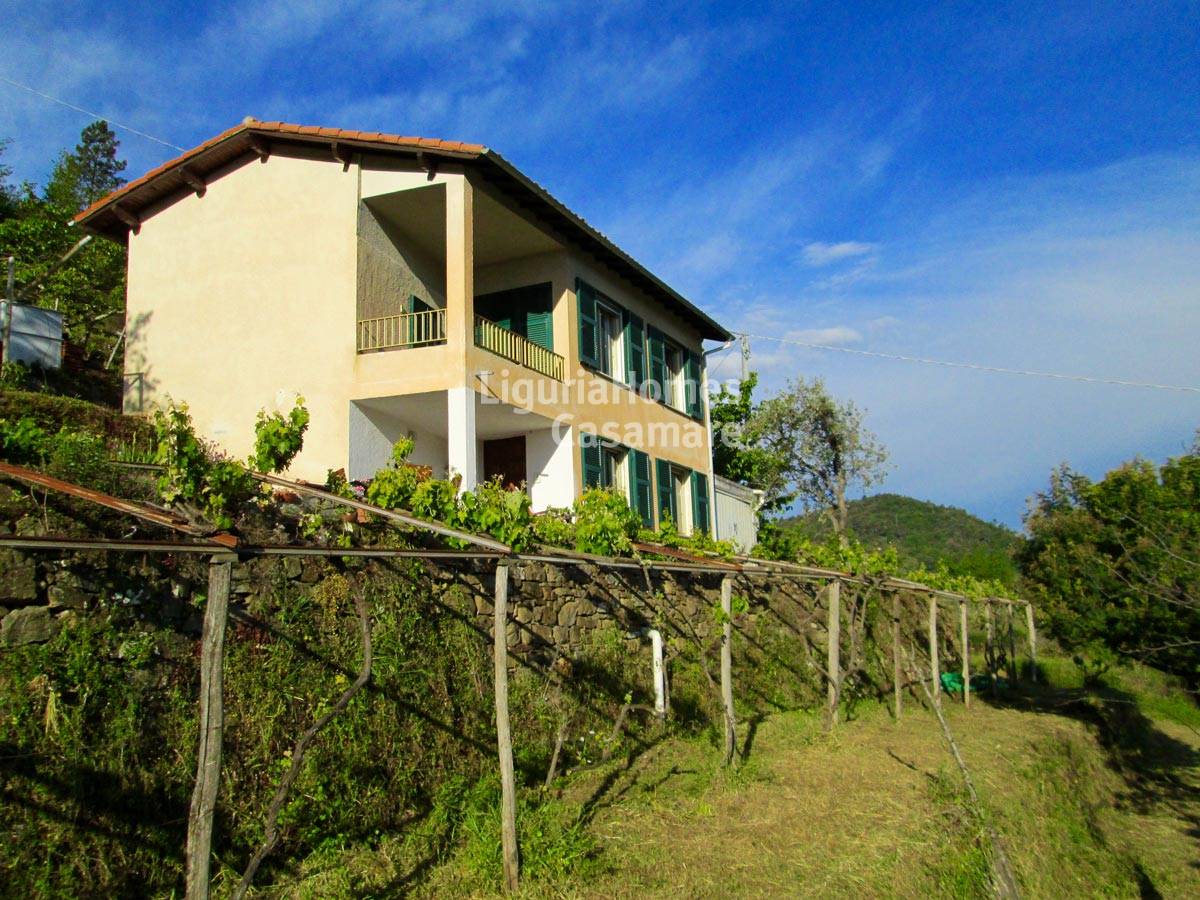  perinaldo vendita quart:  liguriahomes-casamare-bordighera