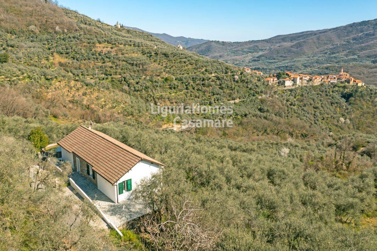 Villa in vendita a Aurigo (IM)