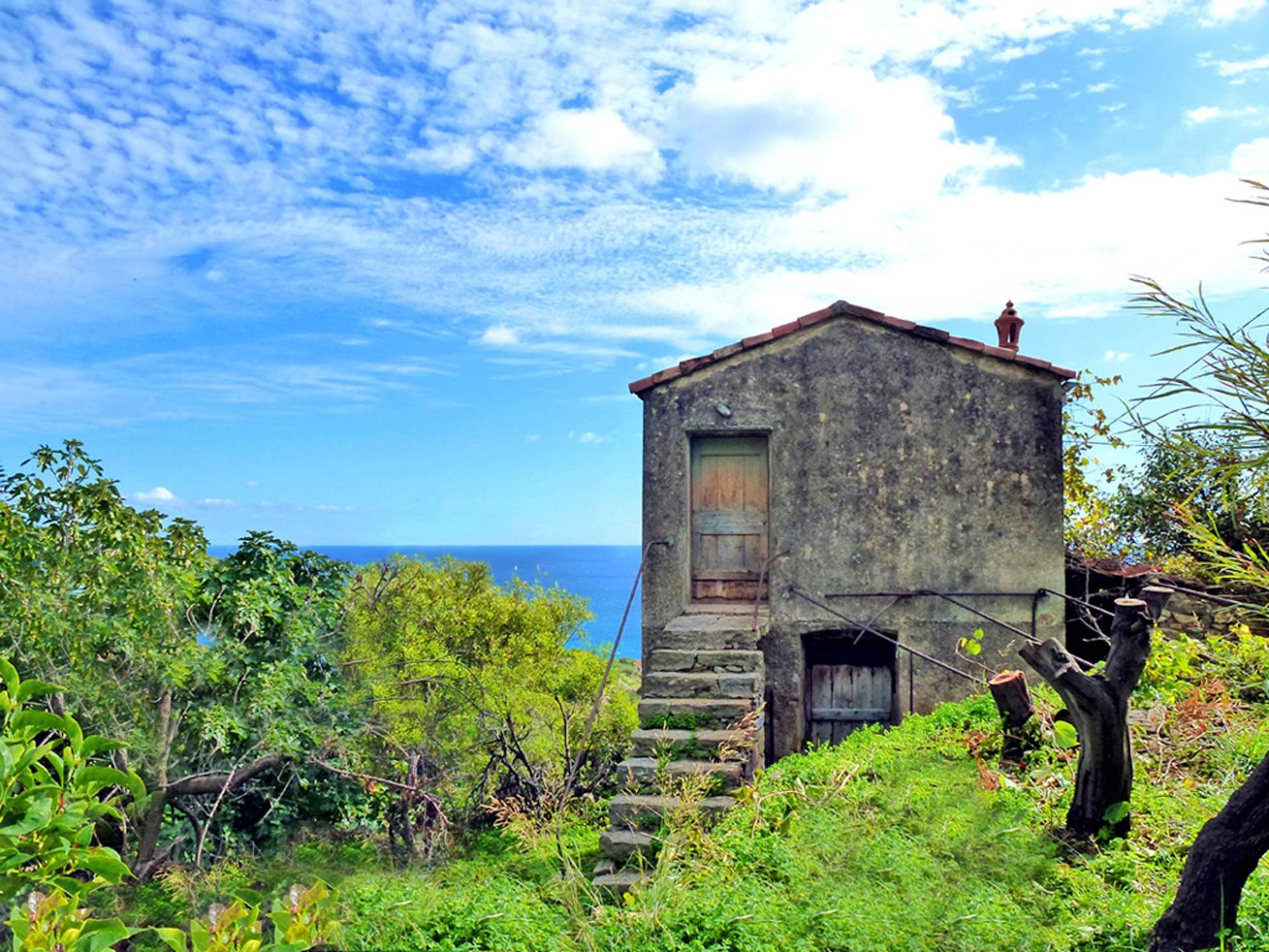 Rural property for sale in Bordighera, in an excellent location with stunning sea views