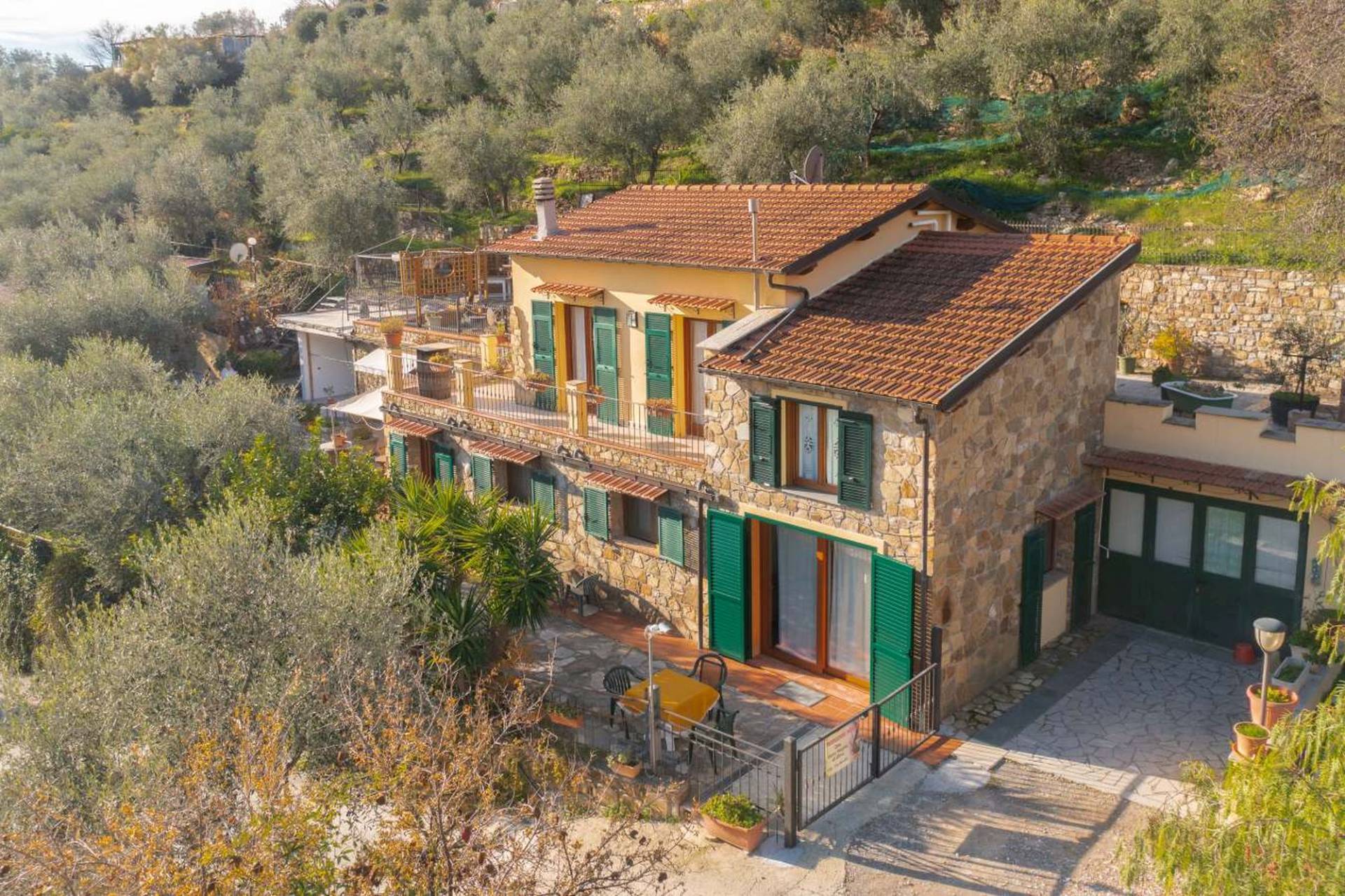 Charming semi-detached villa surrounded by olive trees in Castellaro
