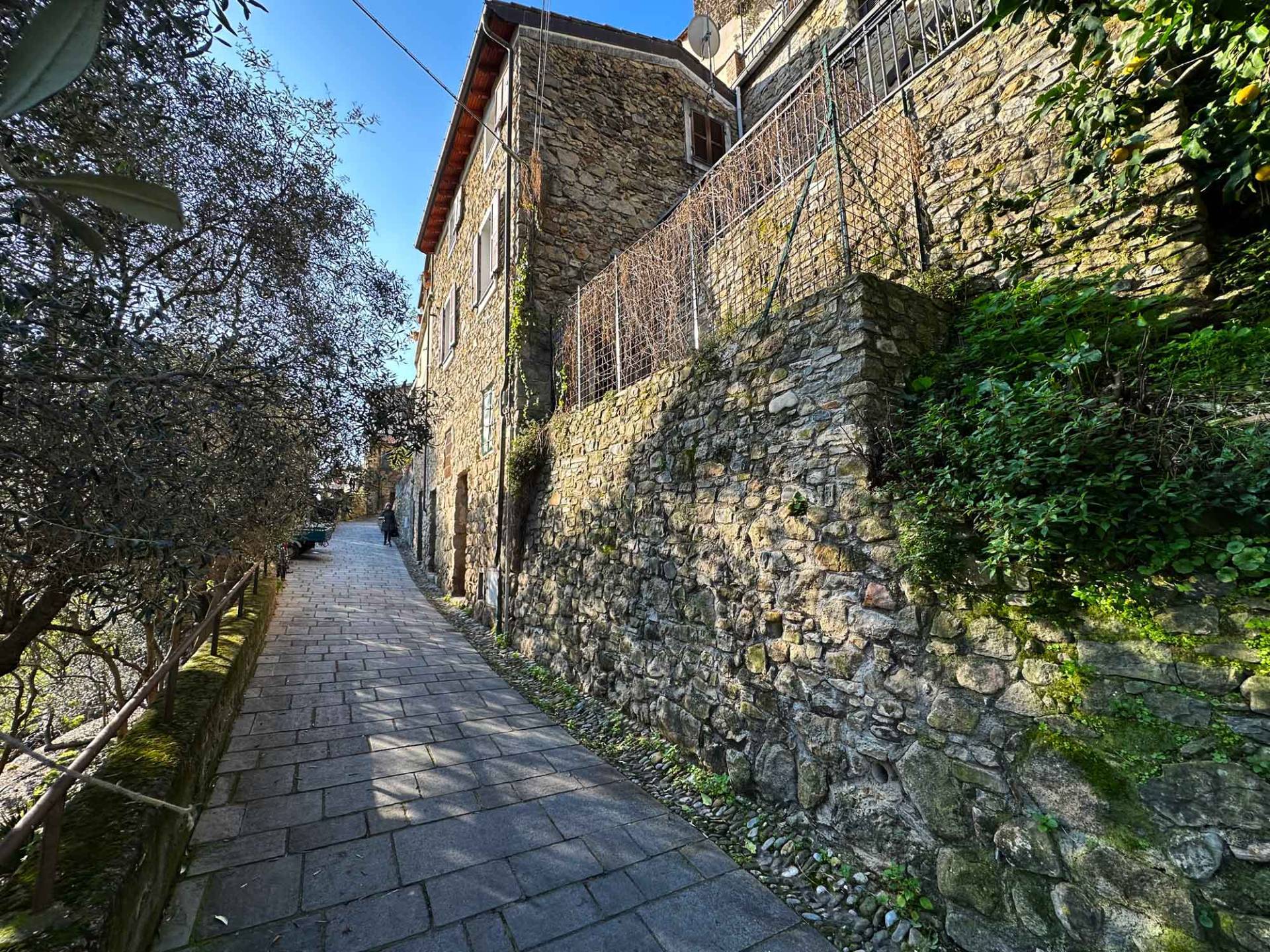 Renovated Townhouse for sale in Vallebona, with terrace and small garden