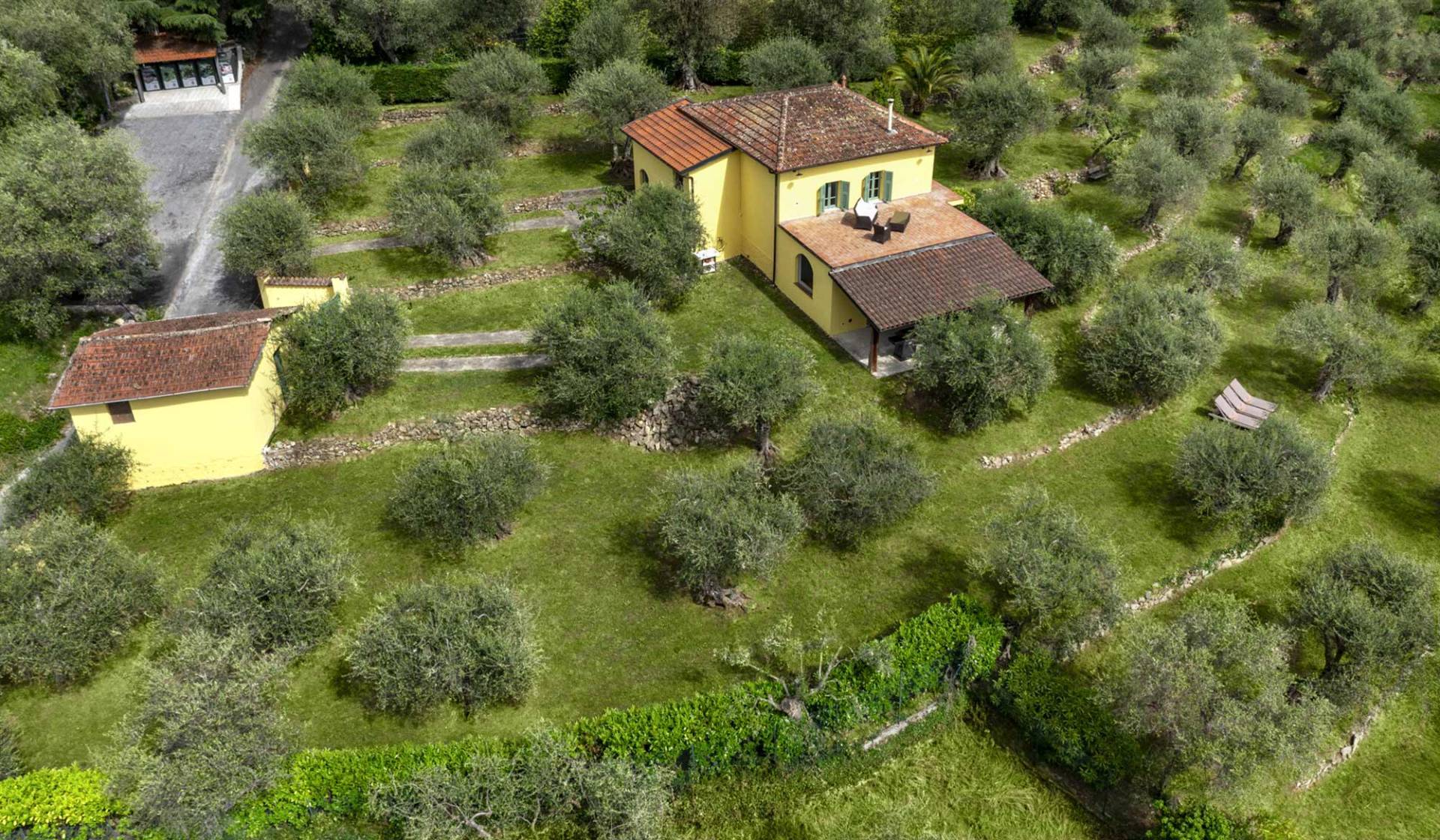 Country villa for sale in Soldano with sea views and a large level olive grove