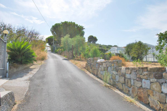 Terreno edificabile in vendita a Santo Stefano Al Mare (IM)