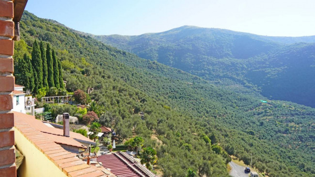 Porzione di casa in vendita a Chiusanico (IM)