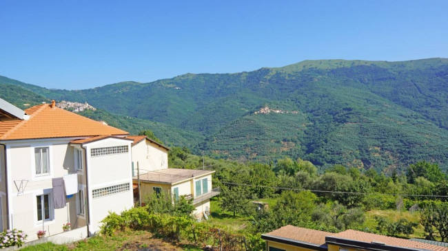 Porzione di casa in vendita a Borgomaro (IM)