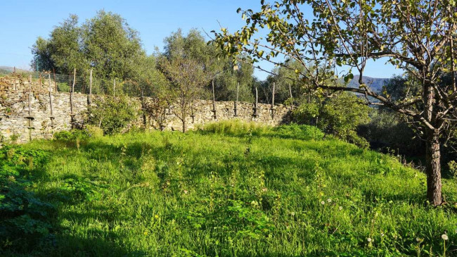 Porzione di casa in vendita a Imperia (IM)