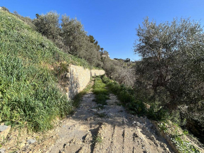 Villa for sale in Imperia