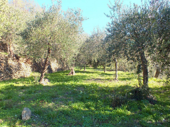 Вилла в продажа в Alassio