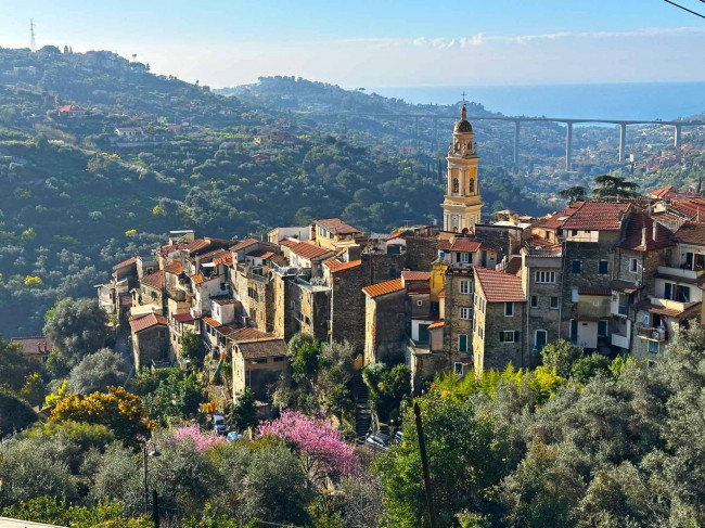 Casa di paese in vendita a Vallebona