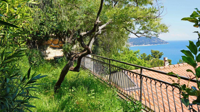 Villen/Häuser zum kaufen in Cervo