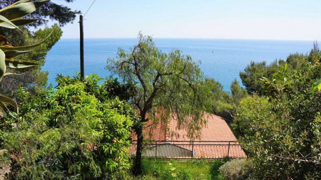 Villen/Häuser zum kaufen in Cervo