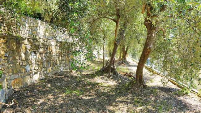 Casa di paese in vendita a Pompeiana