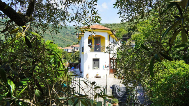 Villa for sale in Chiusanico