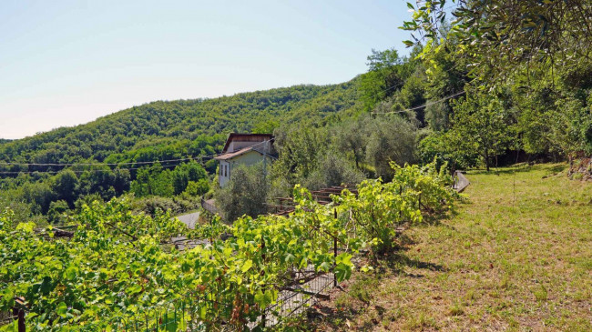 Casa di paese in vendita a Borgomaro