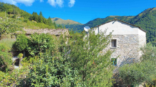 Casa di paese in vendita a Montalto Carpasio