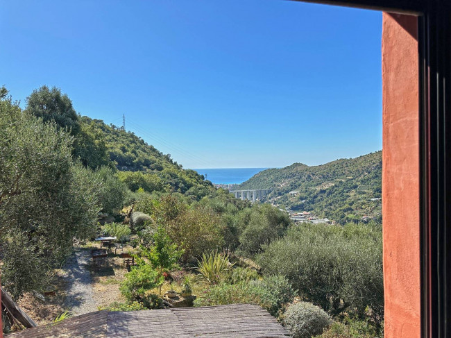 Вилла в продажа в Vallebona