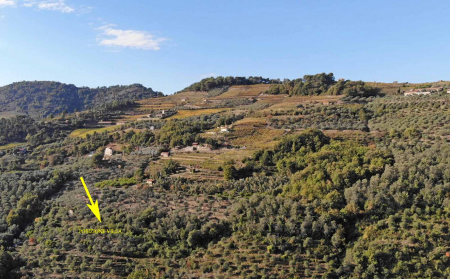 Terreno in vendita a Dolceacqua