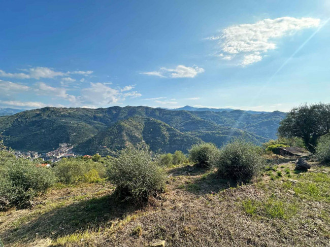 Terreno in vendita a Dolceacqua
