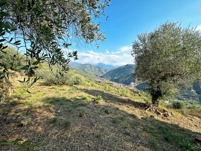 Terreno in vendita a Dolceacqua