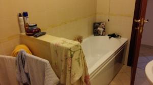 camere singole in affitto a Chieti