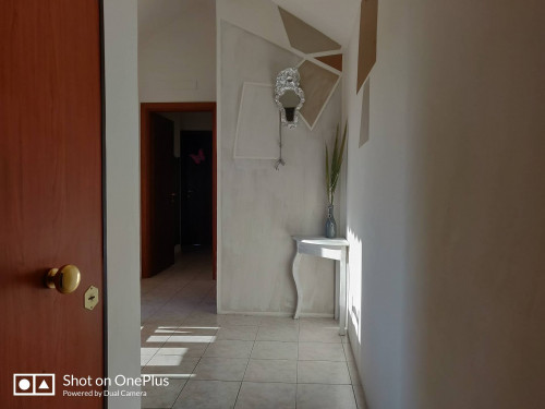 camere singole in affitto a Chieti
