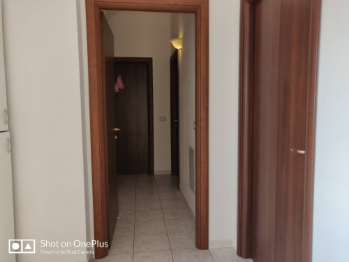 camere singole in affitto a Chieti