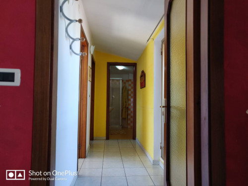 camere singole in affitto a Chieti